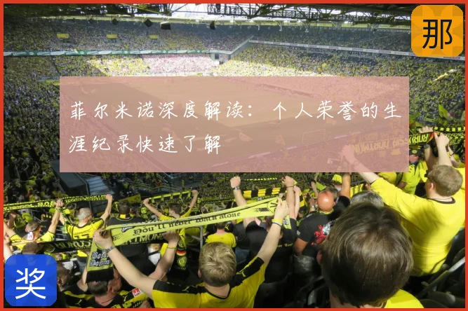 菲尔米诺深度解读:个人荣誉的生涯纪录快速了解