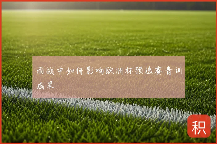 雨战中如何影响欧洲杯预选赛青训成果